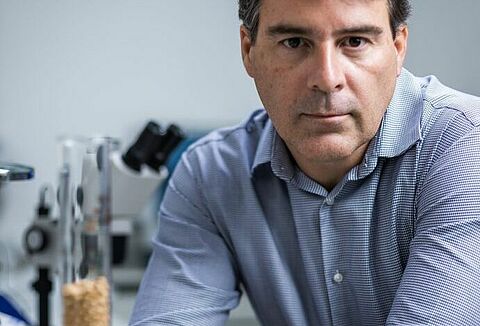 Produtor brasileiro passa a ter o primeiro tratamento de semente industrial à base de fungo do País