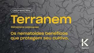 Play