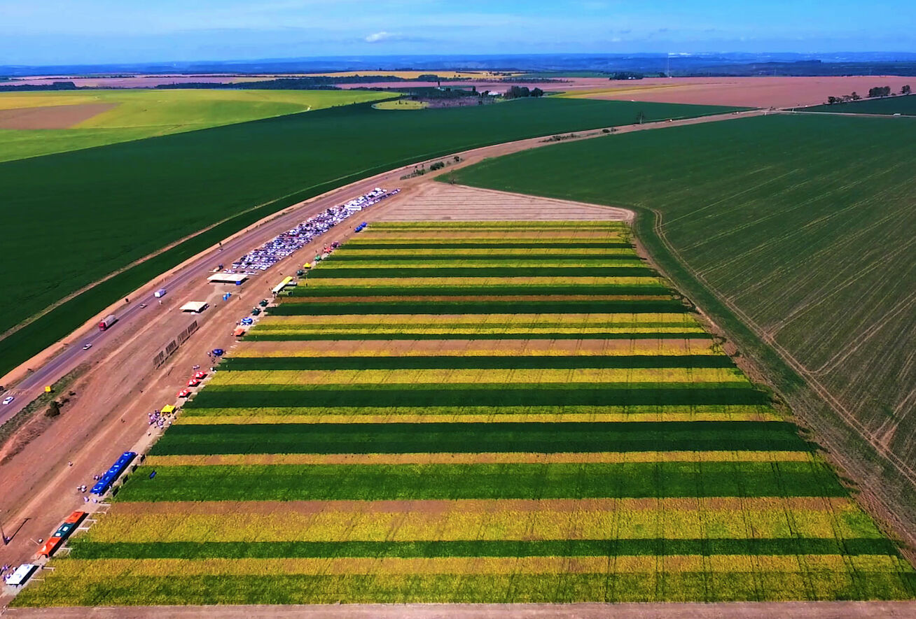 Competição de Cultivares AgroBrasília