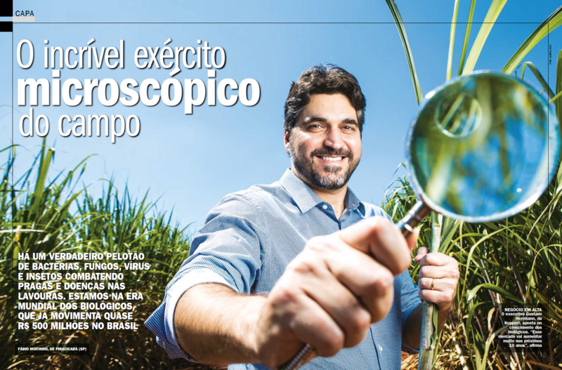 miolo_dinheiro_rural.png