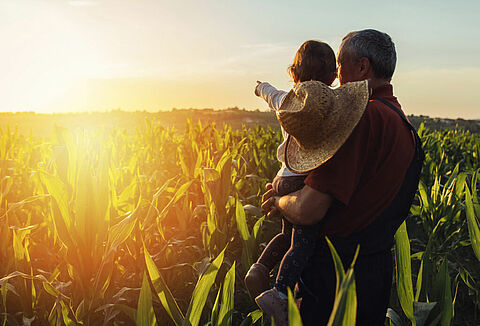 Dia do Estatuto da Terra lembra regulação das práticas rurais