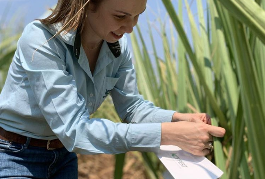 Série com colaboradoras no campo é destaque nas redes sociais