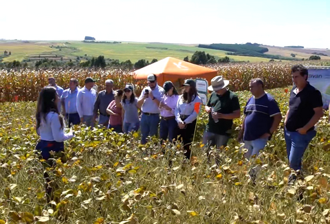 Centro Tecnológico Koppert PR/PY