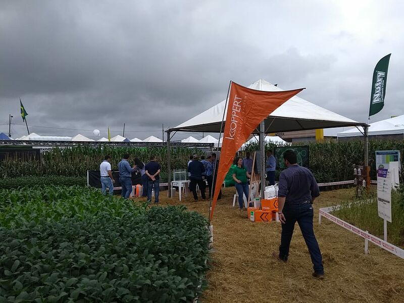 ShowSafra_2019_04.jpg