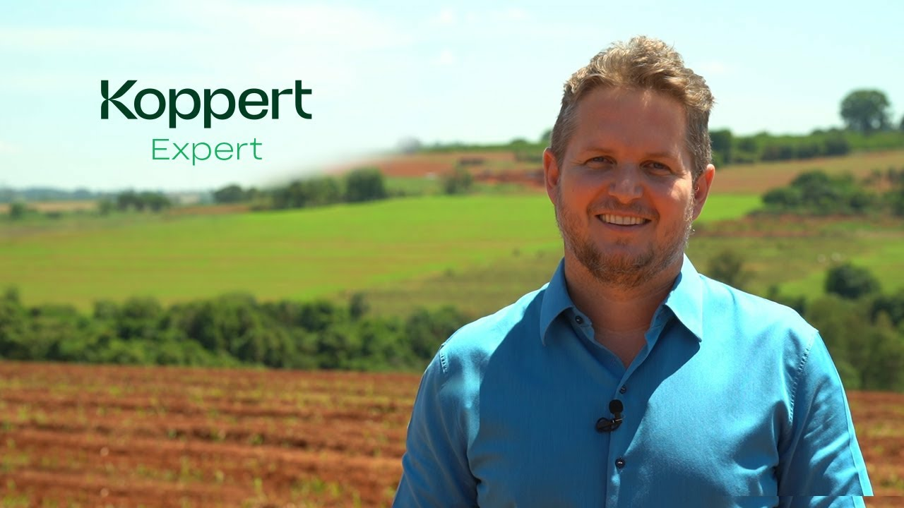 Koppert Expert | Ep. 2 - Fernando Andreote Koppert Expert | Ep. 2 - Fernando Andreote