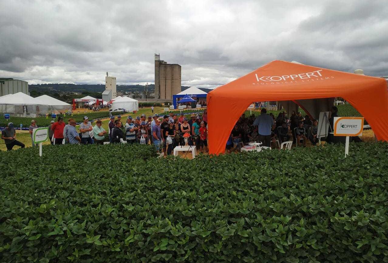 Biodefensivos são destaque no Dia de Campo Bom Jesus