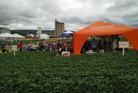 Biodefensivos são destaque no Dia de Campo Bom Jesus