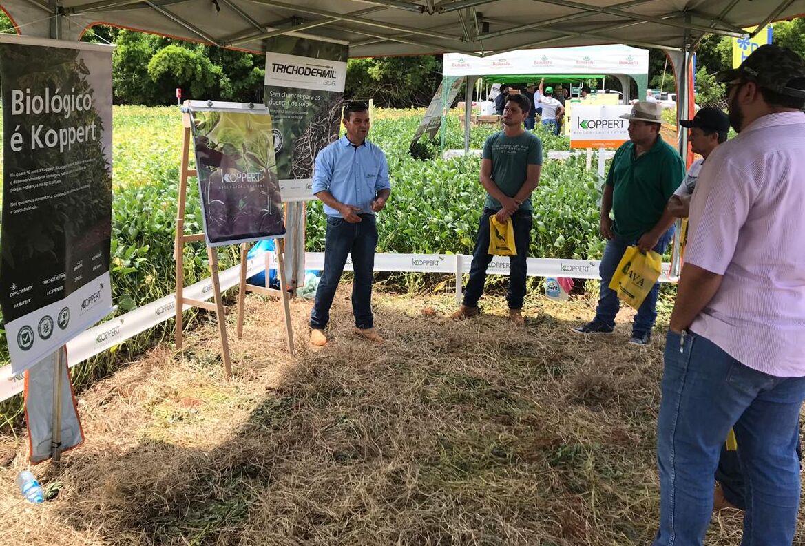 Dia de Campo Agrícola Cerrado em São Gabriel do Oeste MS