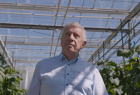 Nada supera o original