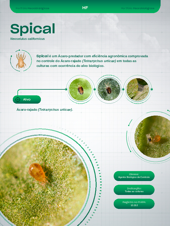 Spical-C - Lâmina HF
