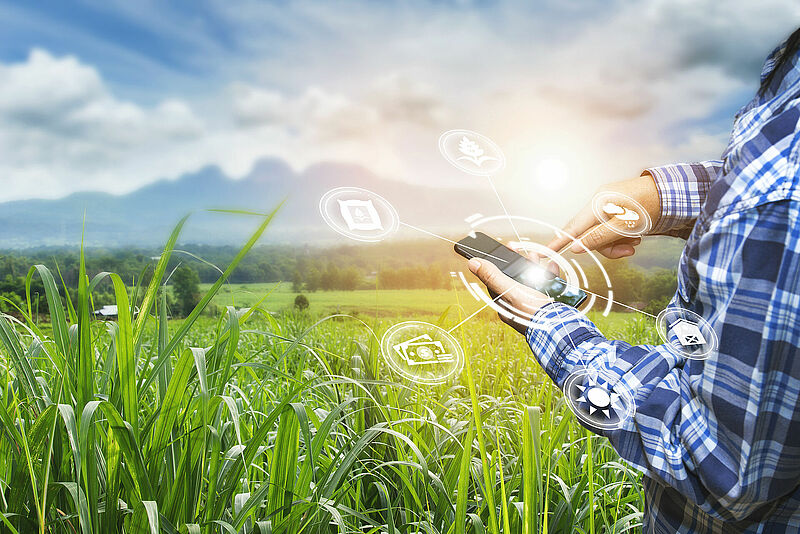 Innovation technology for smart farm system, Agriculture management,