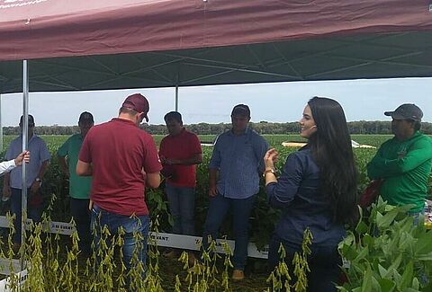 Dia de Campo VLA Agronegócios