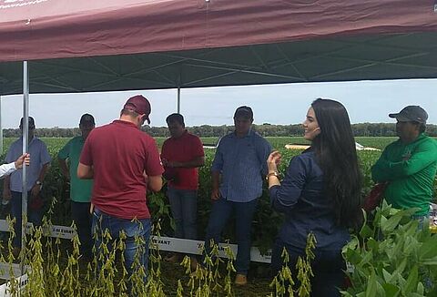 Dia de Campo VLA Agronegócios