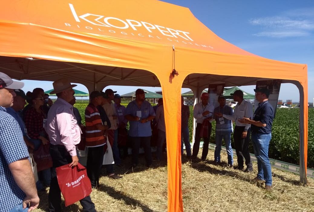 Dia de Campo da Rural Brasil em Piranhas - GO