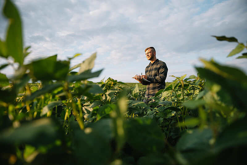 Agronomist,Inspecting,Soya,Bean,Crops,Growing,In,The,Farm,Field.