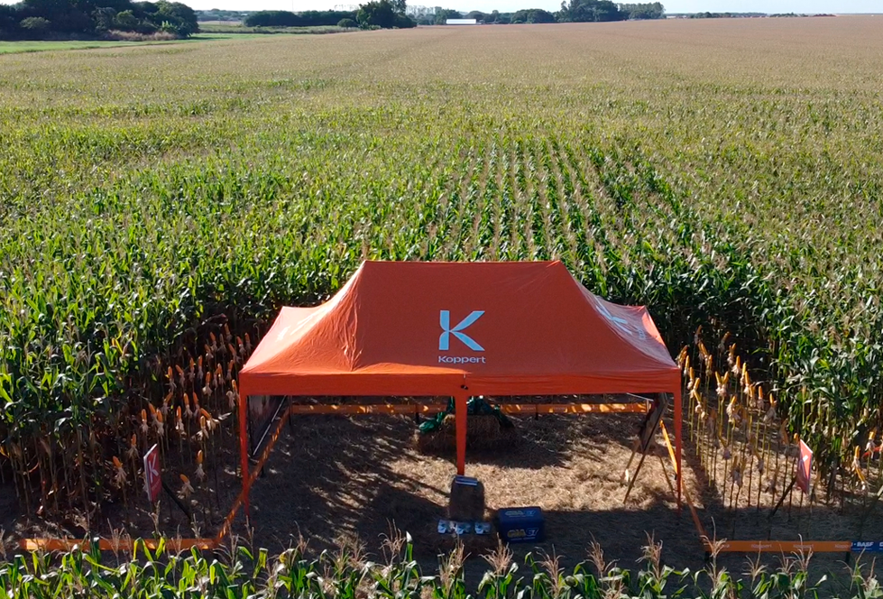 1ª Noite de Campo Mocellin