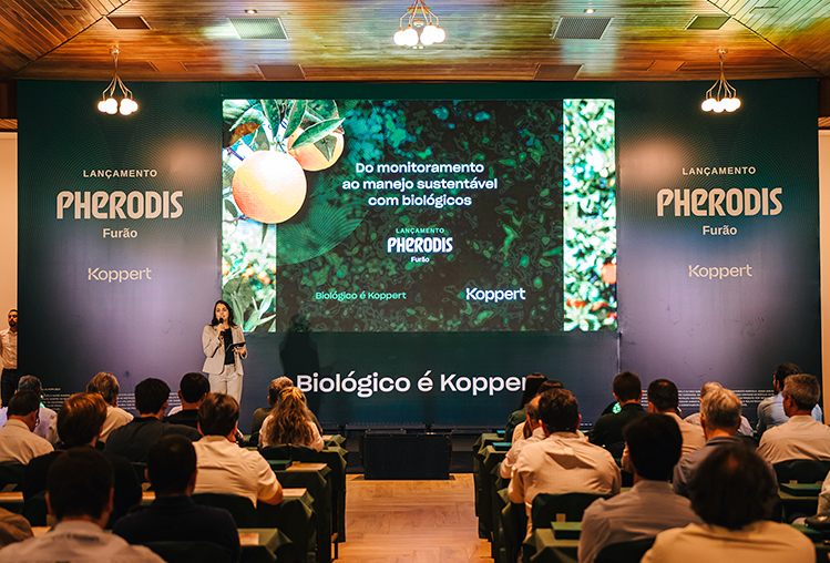 Pherodis Furão é lançado oficialmente