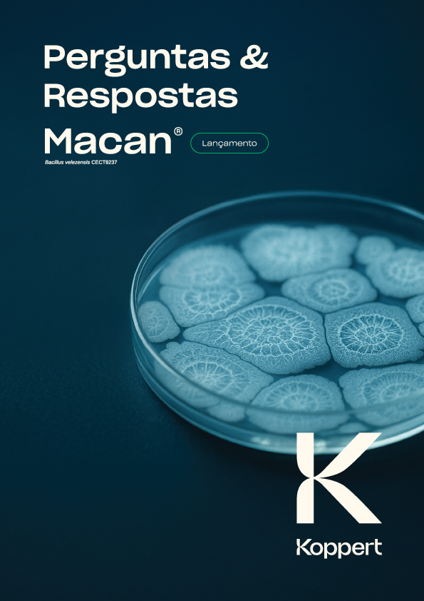 Perguntas e Respostas - Macan