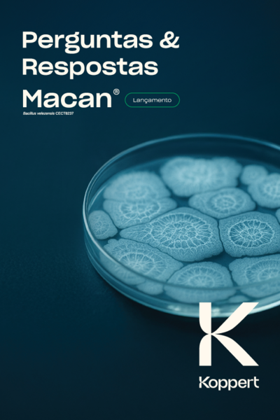 Perguntas e Respostas - Macan