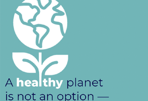 Na Koppert, todos os dias são o Dia da Terra