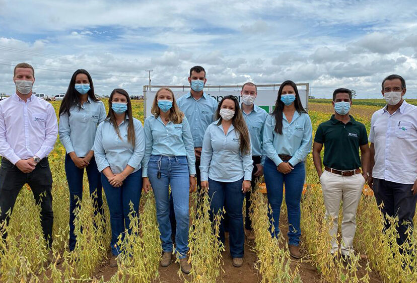 Competição de Cultivares de Soja 2022