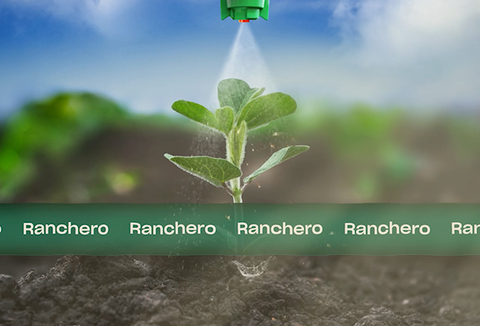 Ranchero (Adjuvante agrícola): Alto desempenho e eficiência na aplicação