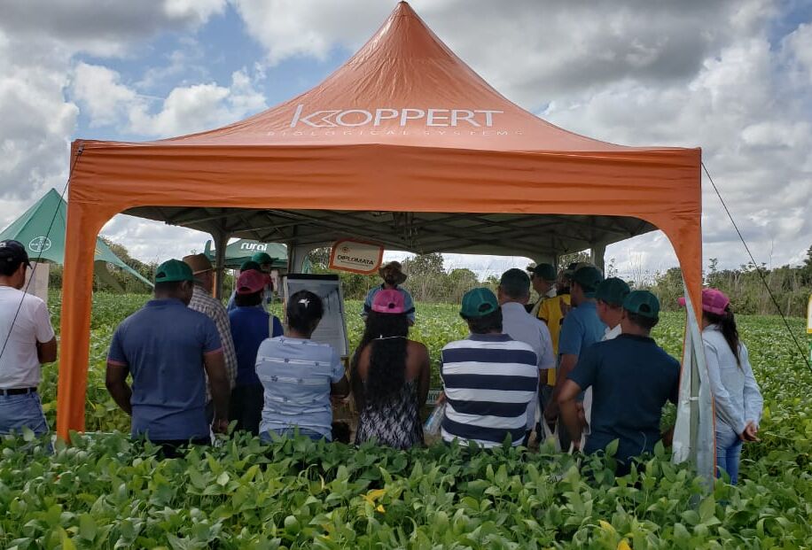Confira o Dia de campo com o parceiro Rural Brasil, em Redenção (PA)
