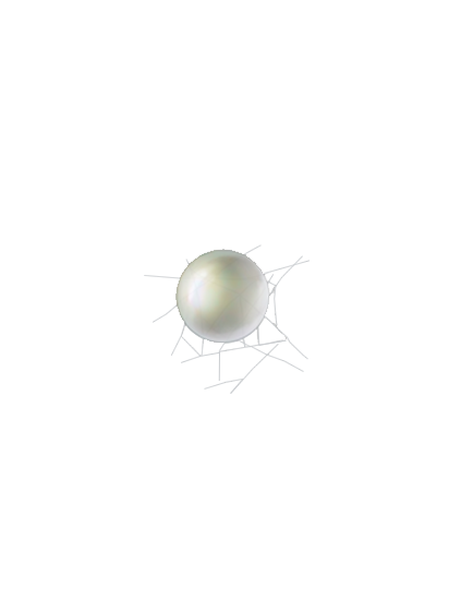Tetranychus urticae egg