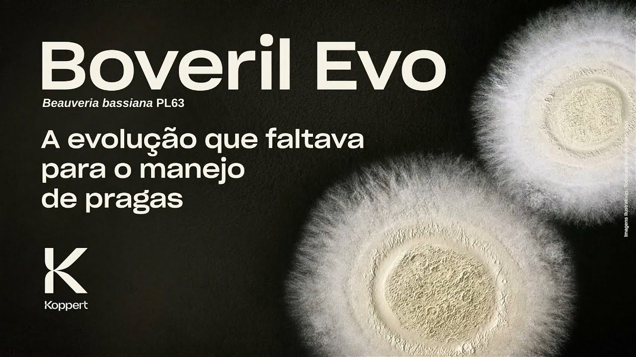 Boveril Evo: a evolução no manejo de pragas!