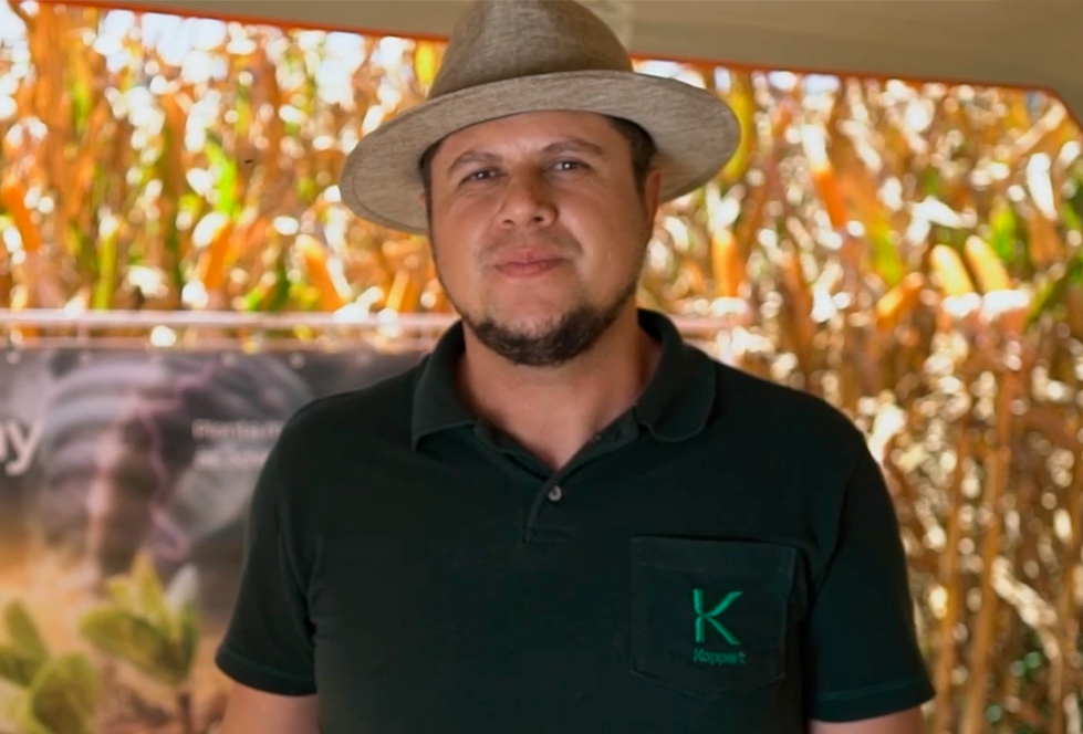 Uso do bioativador Stingray