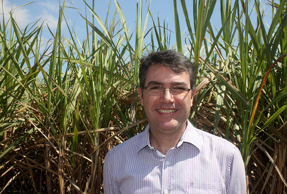 Trichoderma tem ação nematicida, fungicida e promotora de crescimento em canaviais