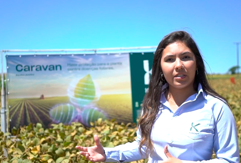 Tratamento com Caravan