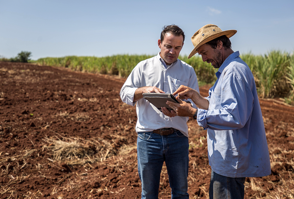 Projeto que incentiva produtores de cana na adoção de práticas sustentáveis é selecionado pelo Fundo Impacto Bonsucro