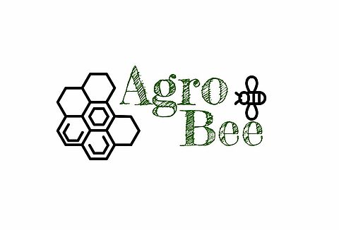 Agrobee, a startup conhecida como “uber das abelhas”