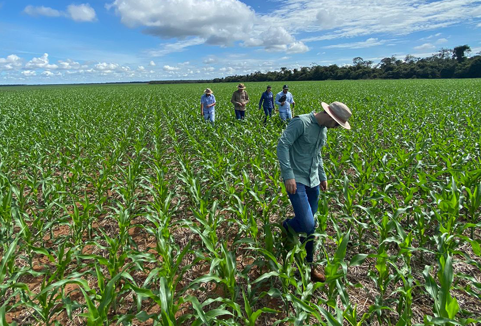 Rodada técnica com Proteplan