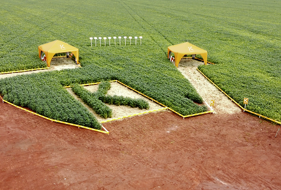 2º Rally Futura - Edição Uberlândia