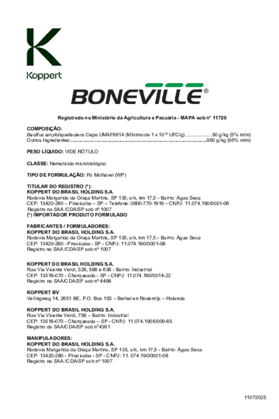 Boneville - Bula