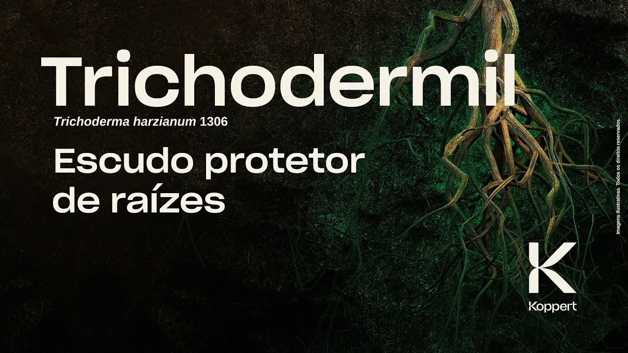 Trichodermil (Trichoderma harzianum 1306):  Escudo protetor de raízes