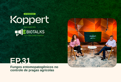 Ep. 31 - Fungos entomopatogênicos no controle de pragas agrícolas