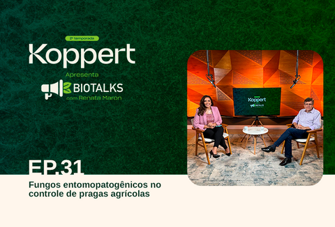 Ep. 31 - Fungos entomopatogênicos no controle de pragas agrícolas