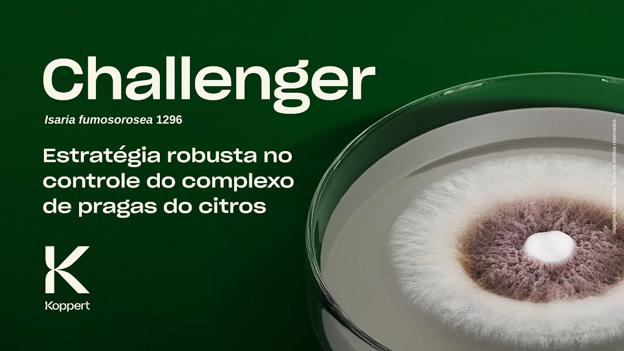 Challenger (Isaria fumosorosea 1296): estratégia robusta no controle do complexo de pragas do citros