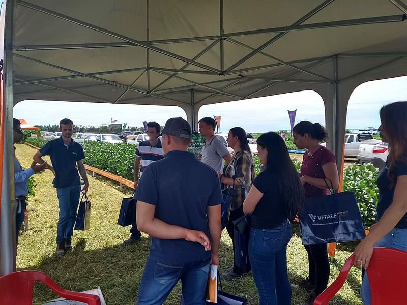 Dia_de_Campo_-_Grupo_O_Telhar_Primavera_do_Leste_-_MT_05.jpg