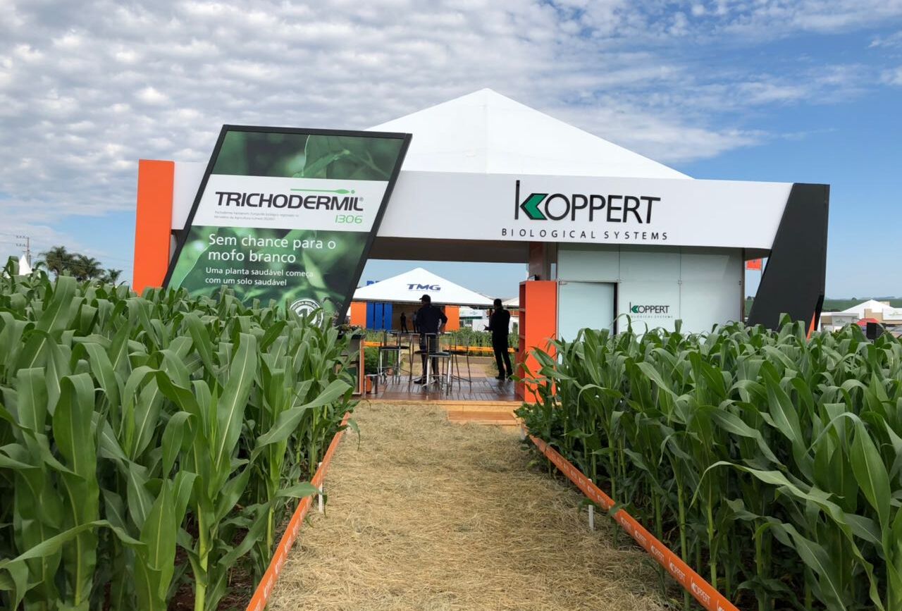 Koppert apresentou soluções para combate das pragas em soja na Copercampos 2018