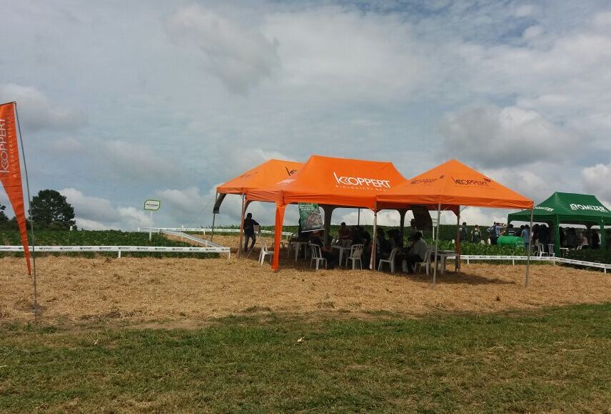 Koppert mostrou na Lapa soluções para pragas em soja no Dia de Campo Bom Jesus