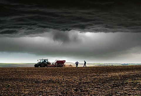 Diretor comercial participa de live sobre MIP