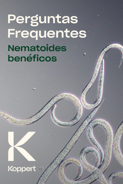 Perguntas frequentes nematoides