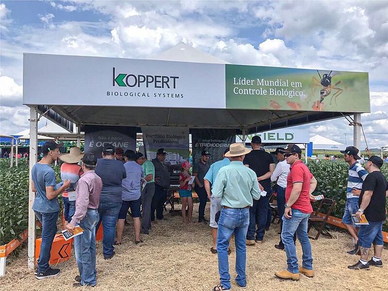 04_diadecampo_lar.jpg