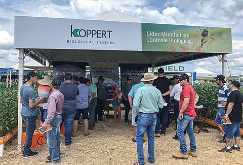 Dia de campo Lar