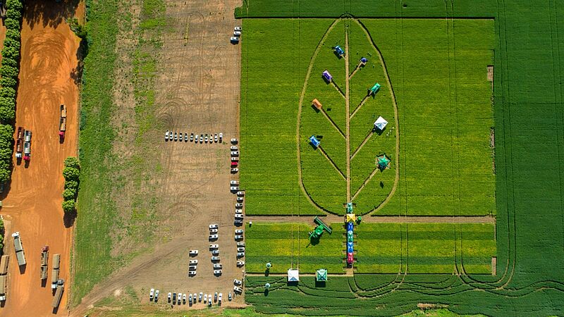 Dia_de_Campo_Rural_Brasil_Querencia_MT_01.jpg