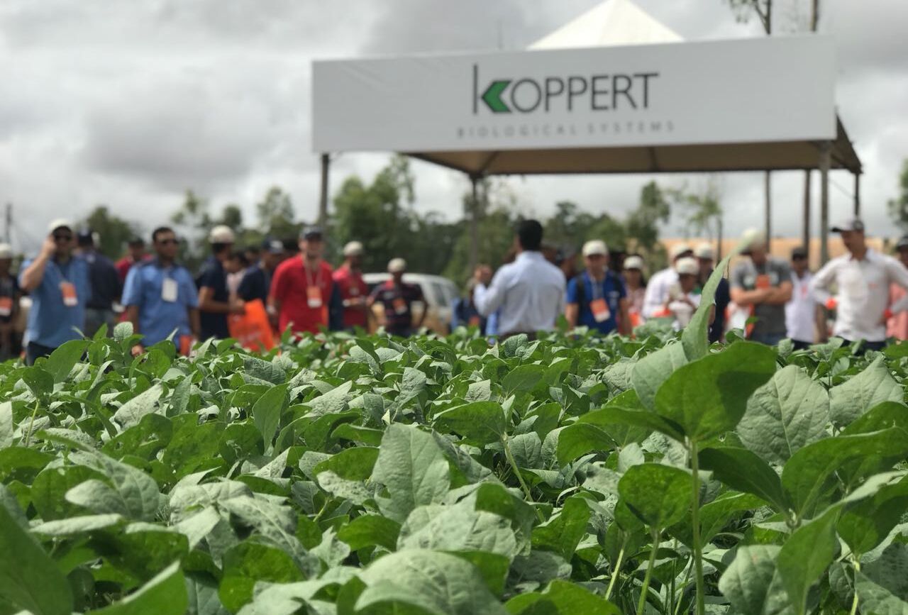 Koppert esteve na Jornada Agrodinâmica em Deciolândia
